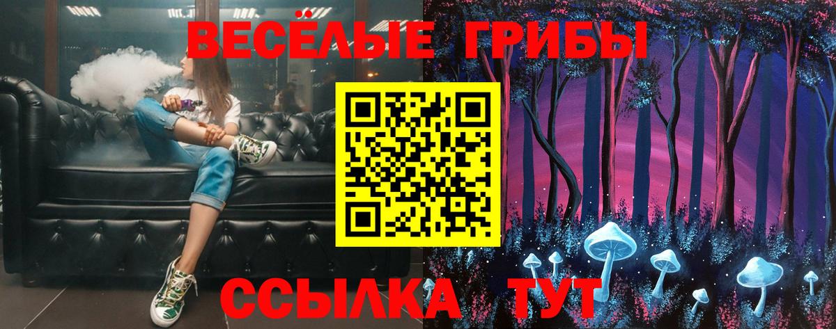 APVP Сергиев Посад