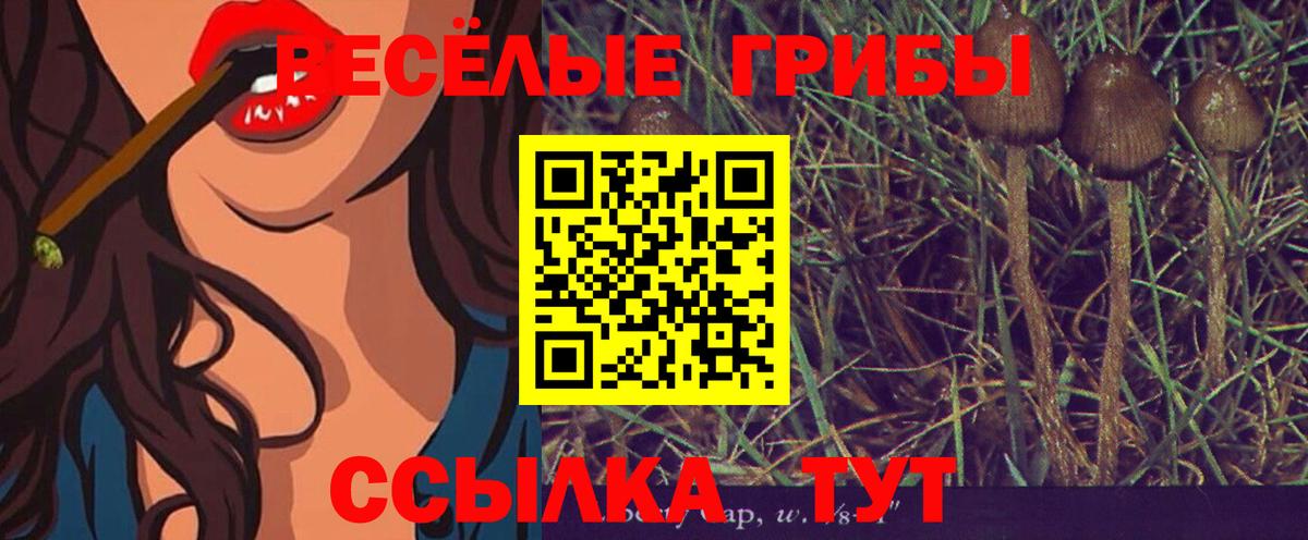 Галлюциногенные грибы MAGIC MUSHROOMS  Псилоцибиновые грибы прущие грибы  Сергиев Посад  Вход с VPN 